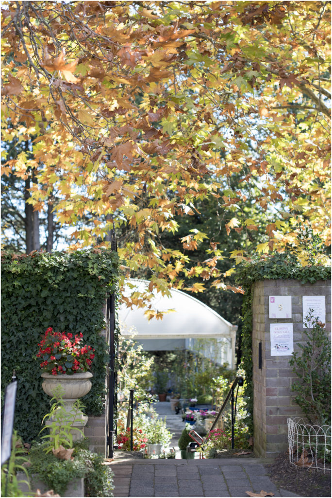 Camden Family Photography, Camden newborn photographer, Family photography macarthur, Angie Duncan Photography, www.angieduncan.com.au